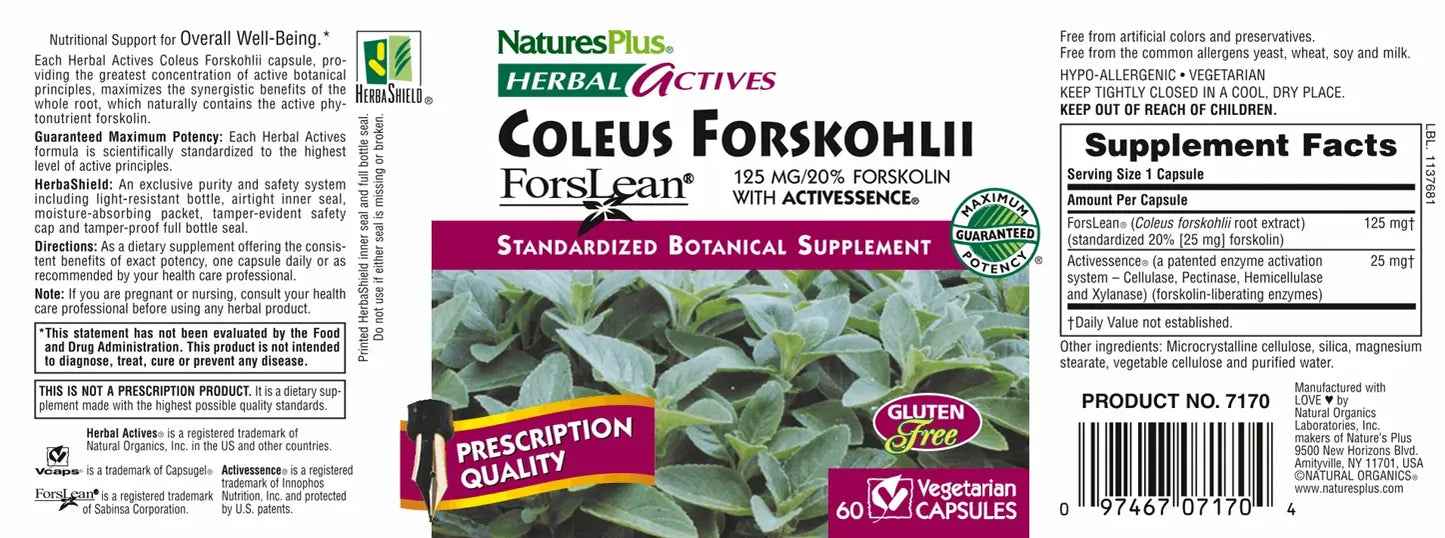 Coleus Forskohlii 125 mg - 60 Capsules