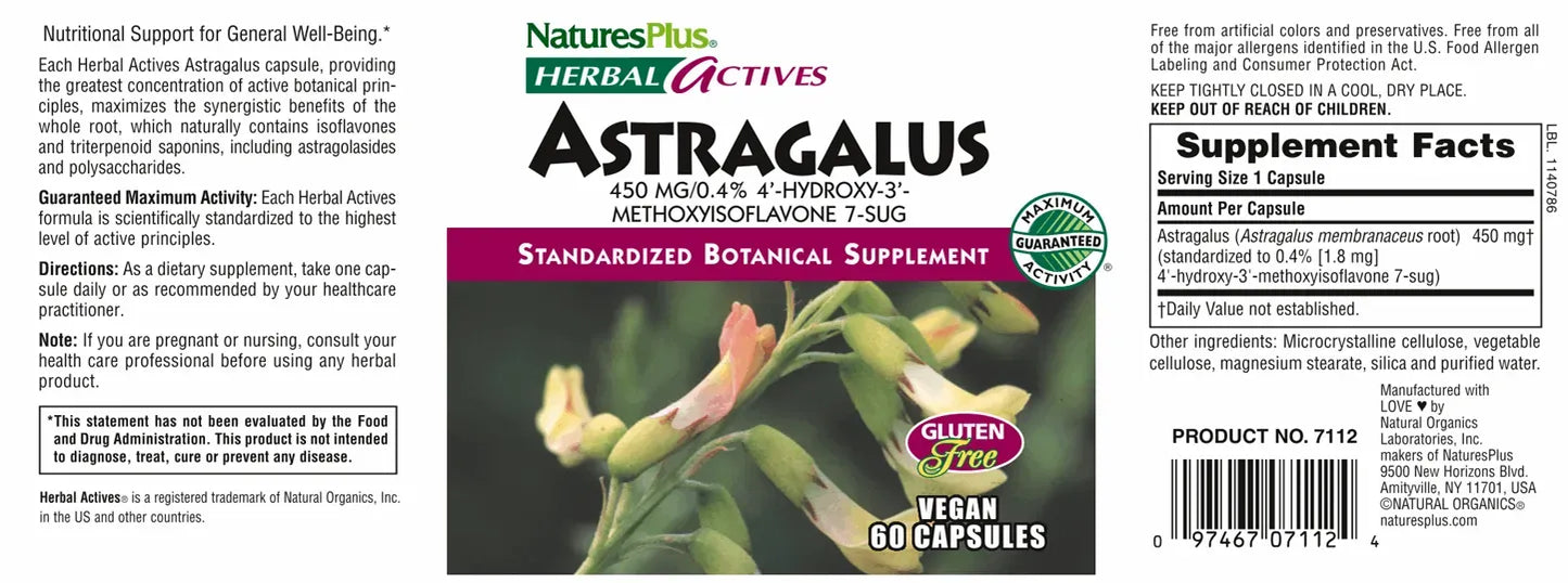 Astragalus 450 mg - 60 Capsules