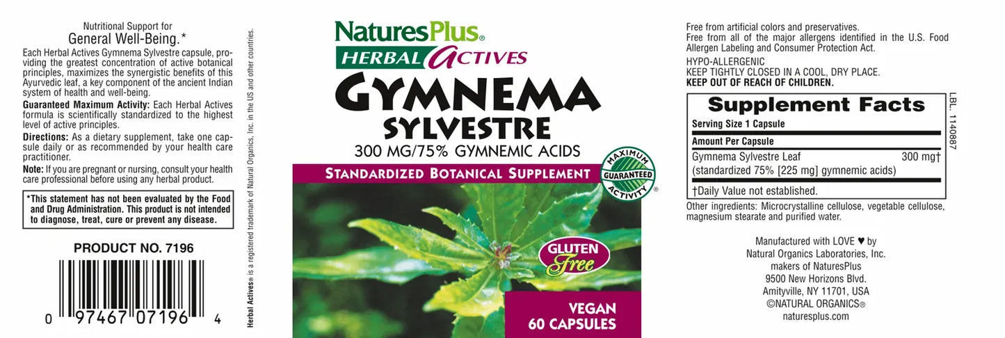 Gymnema Sylvestre 300 mg - 60 Capsules