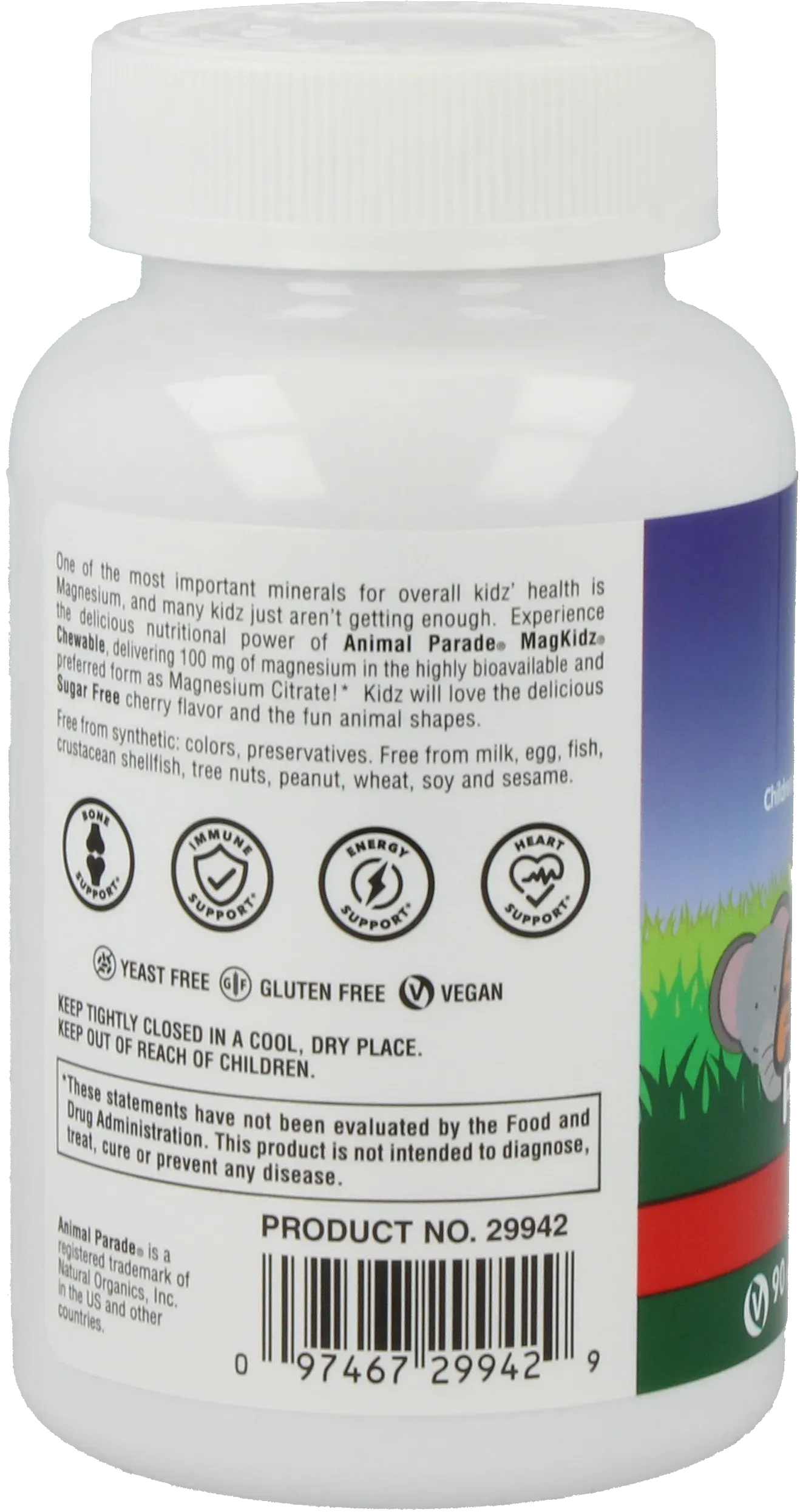 Animal Parade® MagKidz™ - 90 chewables