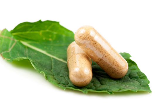 🇩🇪 DAS DARM-MIKROBIOM - Welchen - Deltastar