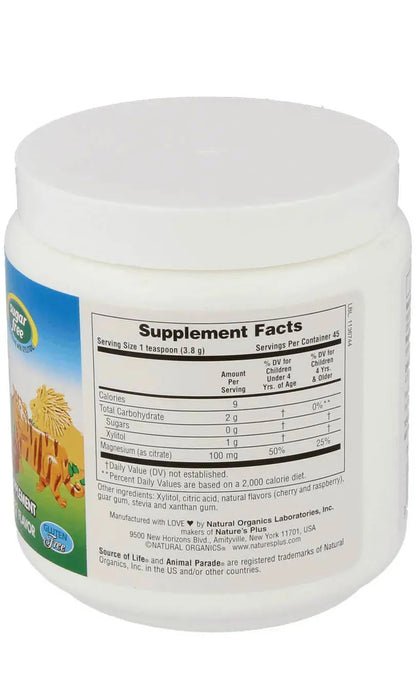 Animal Parade® MagKidz - 171 gr