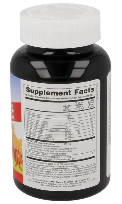 Animal Parade® DHA - 90 Chewables