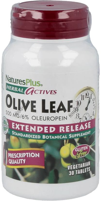 Olive Leaf 500 mg - 30 Tablets