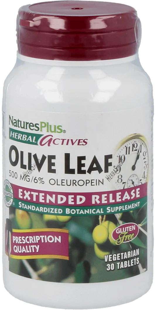 Olive Leaf 500 mg- 30 Tablets