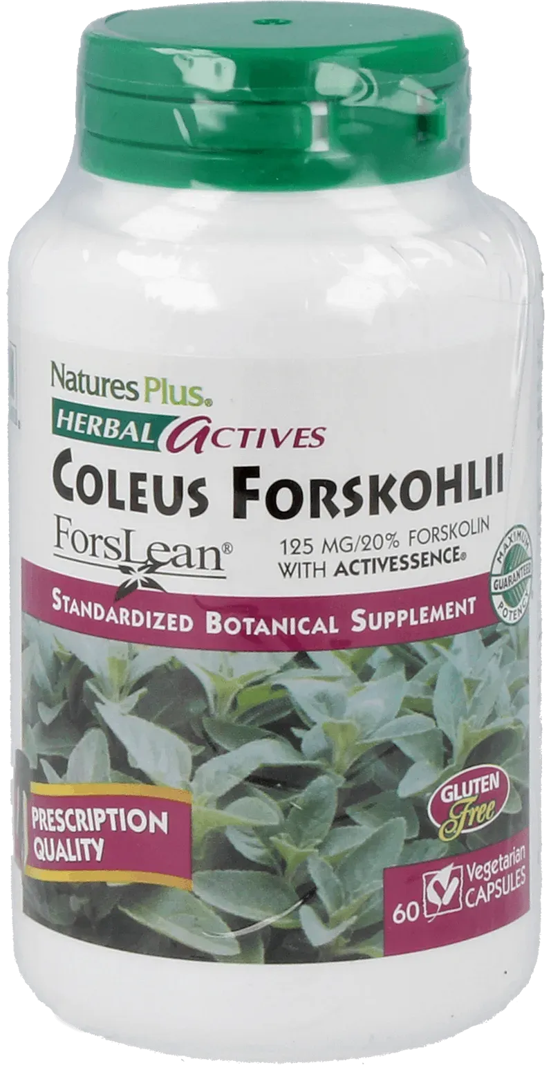Coleus Forskohlii 125 mg - 60 Capsules