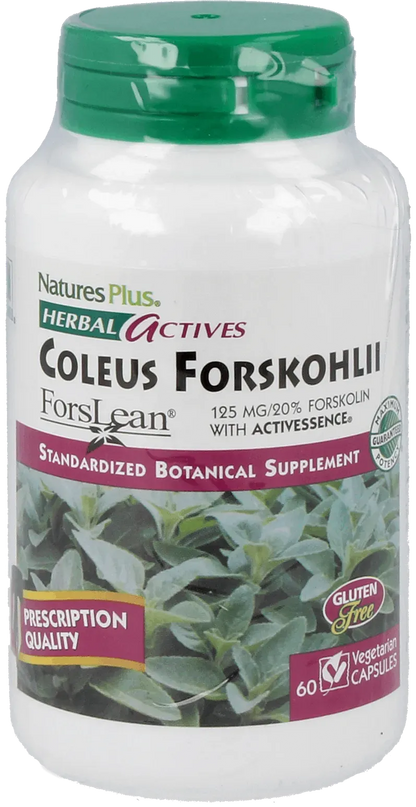 Coleus Forskohlii 125 mg - 60 Capsules