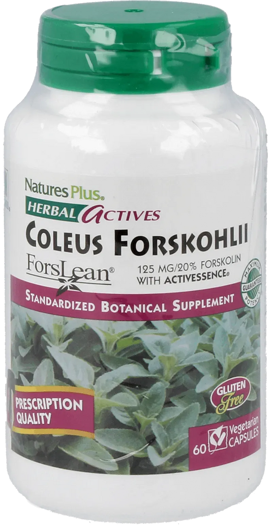 Coleus Forskohlii 125 mg - 60 Capsules