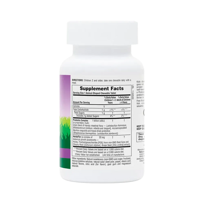 Animal Parade® AcidophiKidz® - 90 chewables