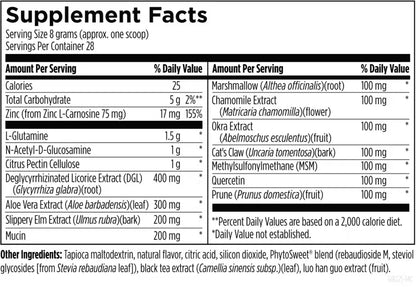 GI Revive® - 225 g powder