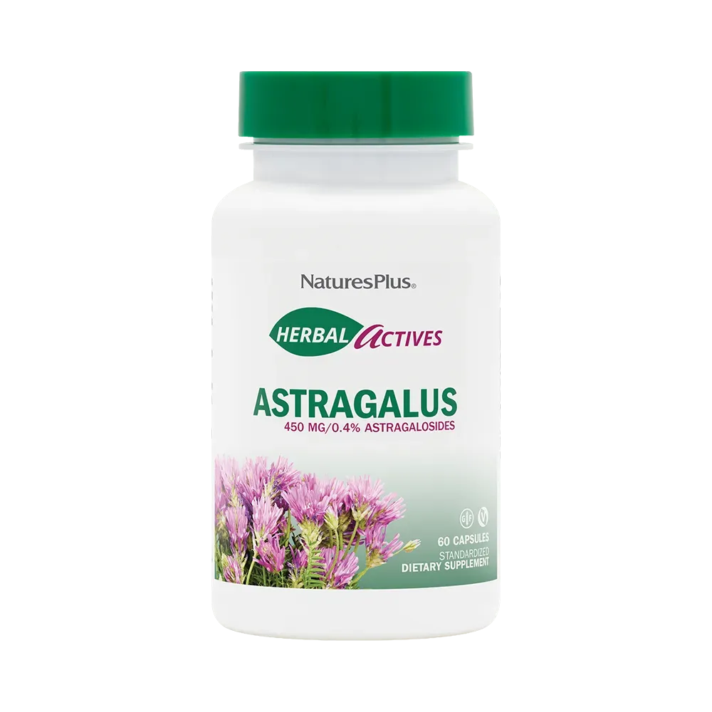 Astragalus 450 mg - 60 Capsules
