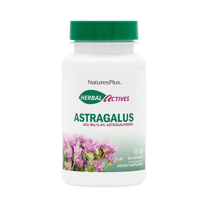 Astragalus 450 mg - 60 Capsules
