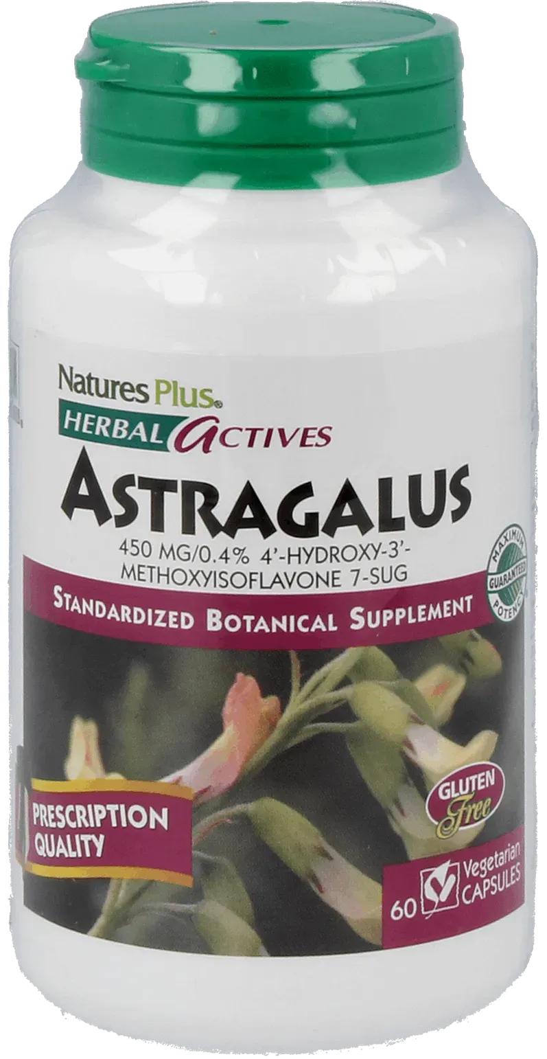 Astragalus 450 mg - 60 Capsules