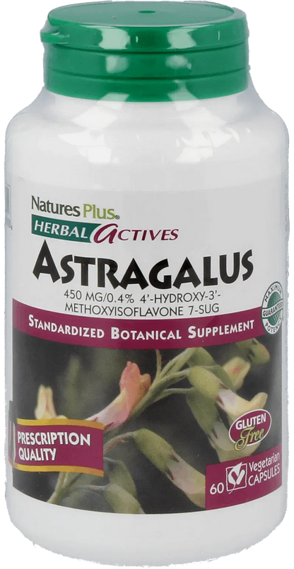Astragalus 450 mg - 60 Capsules
