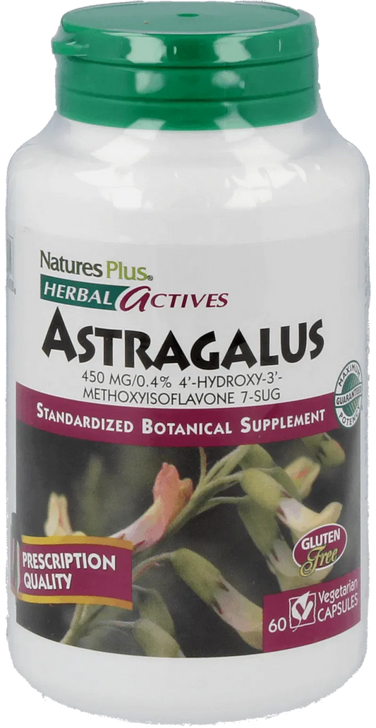 Astragalus 450 mg - 60 Capsules