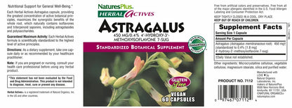 Astragalus 450 mg - 60 Capsules