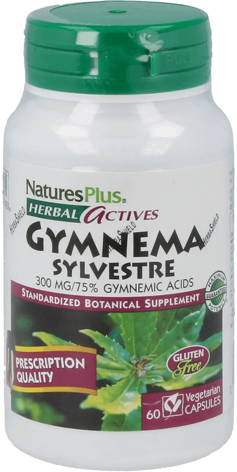 Gymnema Sylvestre 300 mg - 60 Capsules