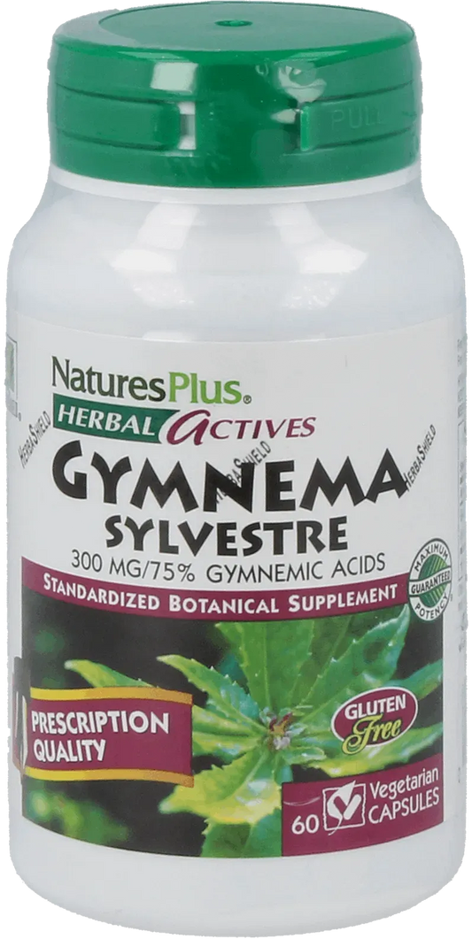 Gymnema Sylvestre 300 mg - 60 Capsules