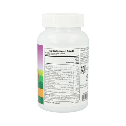 Animal Parade® Multivitamin Gummies - 60 chewables