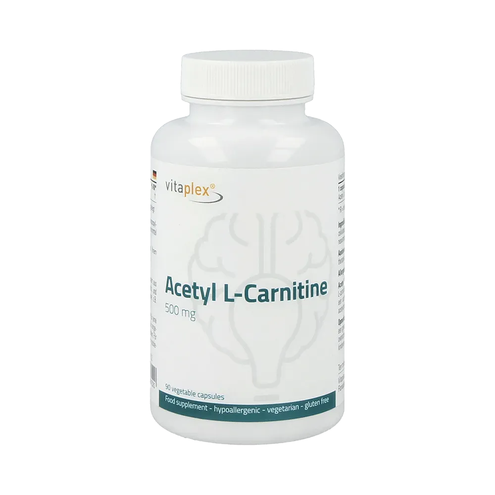 Acetyl L-Carnitine - 90 capsules