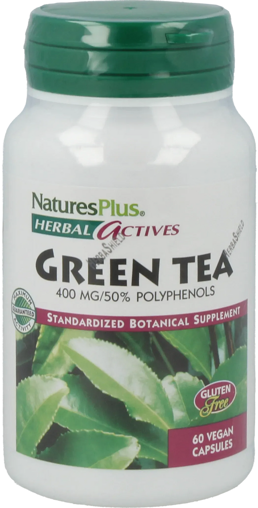 Chinese Green Tea - 400 mg