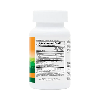 Animal Parade® KidZinc® - 90 lozenges