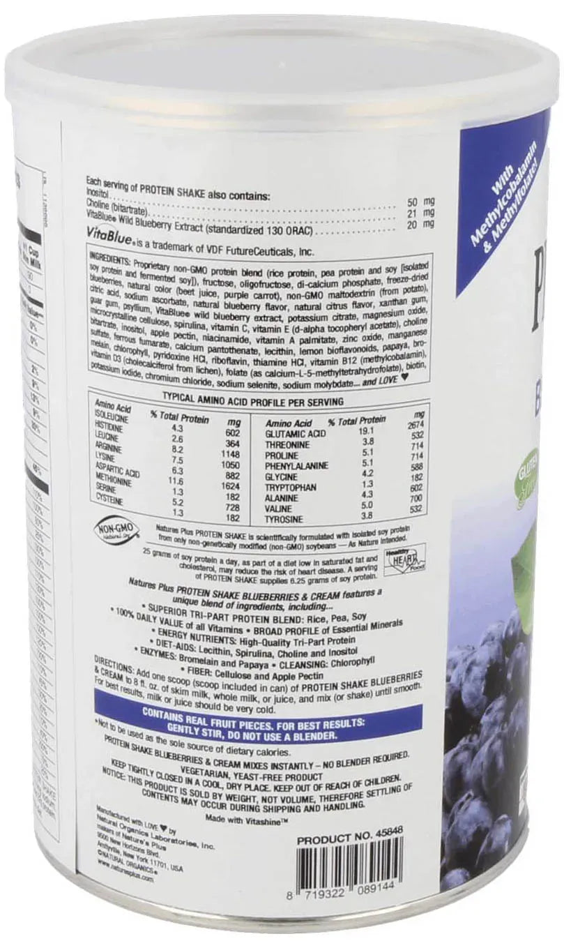 Protein Shake, Blueberries & Cream - 510 gr