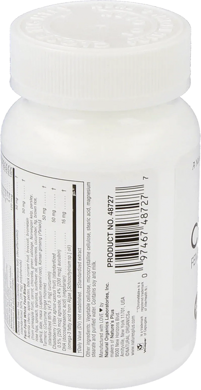 Pro Creation Female Fertility Support - 60 Capsules